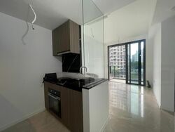 Irwell Hill Residences (D9), Apartment #457904341